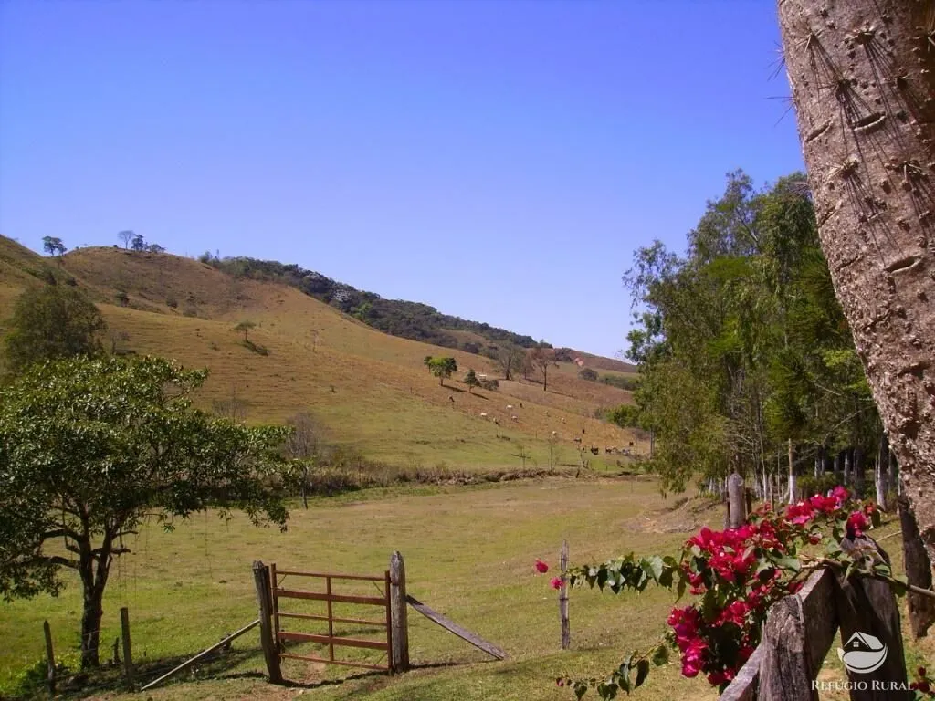 Fazenda à venda de 135 ha em Ouro Fino, MG, Brasil