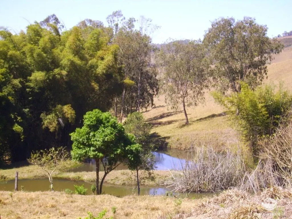 Fazenda à venda de 135 ha em Ouro Fino, MG, Brasil
