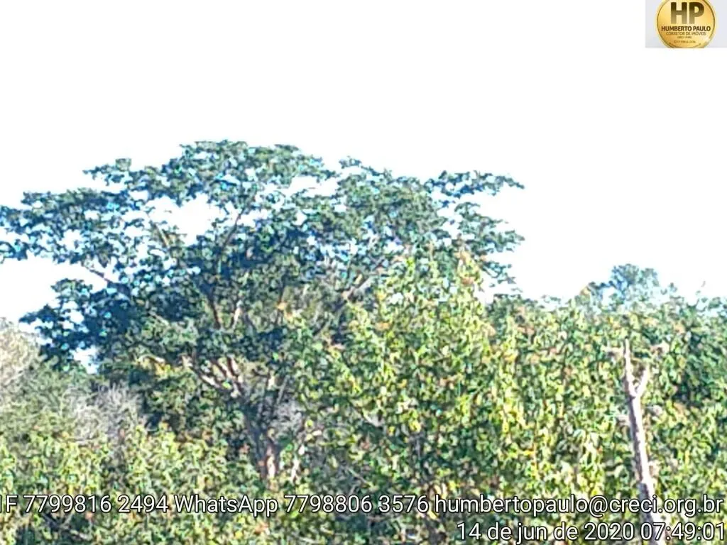 Fazenda à venda de 5.000 ha em Ibotirama, BA, Brasil
