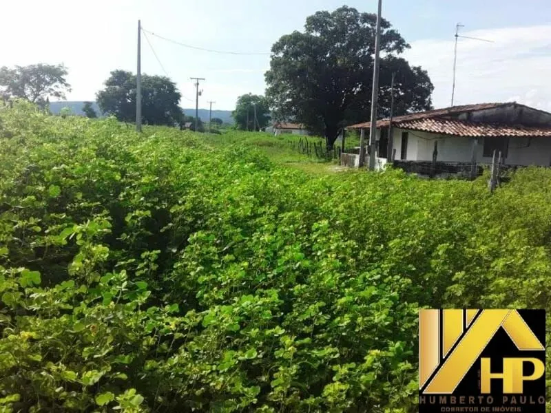 Fazenda à venda de 5.000 ha em Ibotirama, BA, Brasil