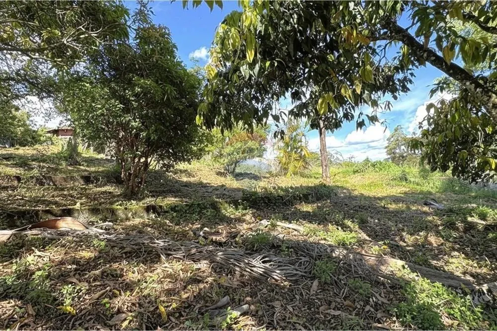 Chácara à venda de 2.440 m² em Jarinu, SP, Brasil