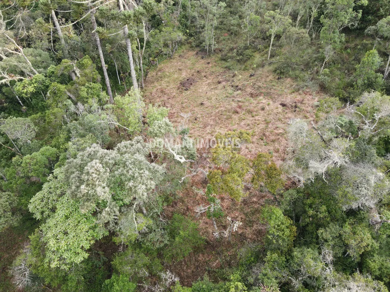 Terreno à venda de 1.060 m² em Campos do Jordão, SP, Brasil