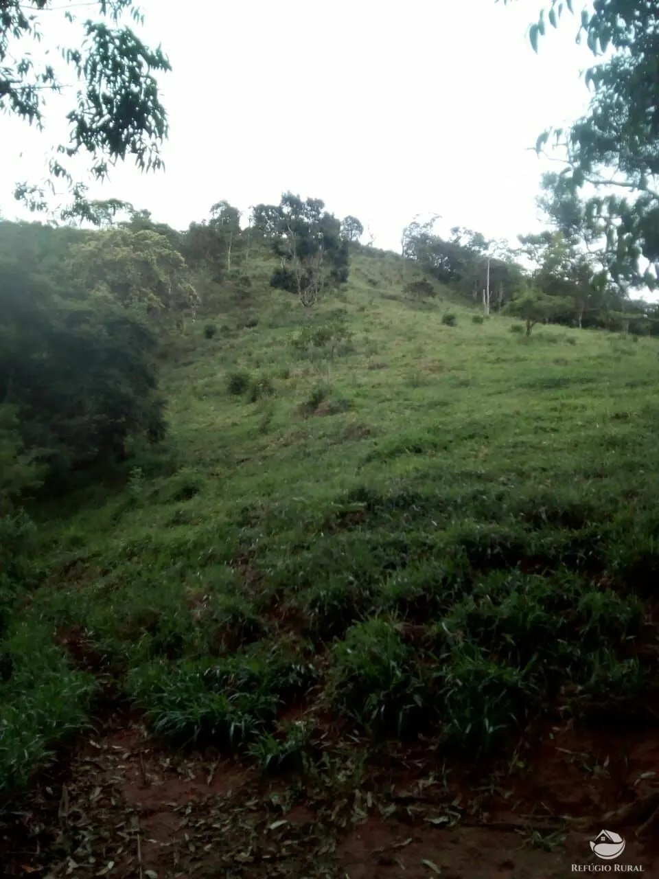 Sítio à venda de 6 ha em Monteiro Lobato, SP, Brasil