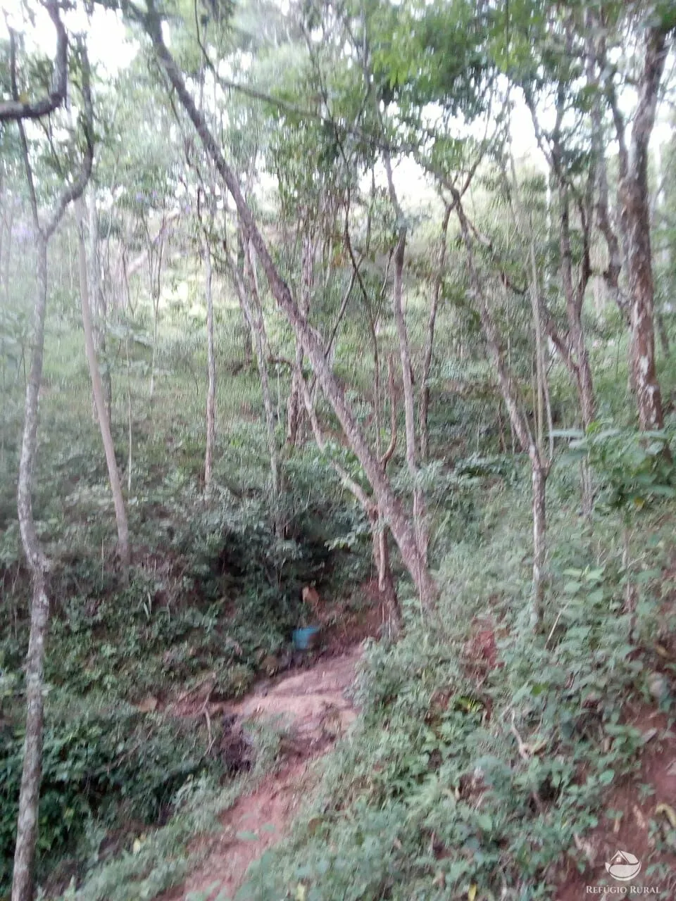 Sítio à venda de 6 ha em Monteiro Lobato, SP, Brasil