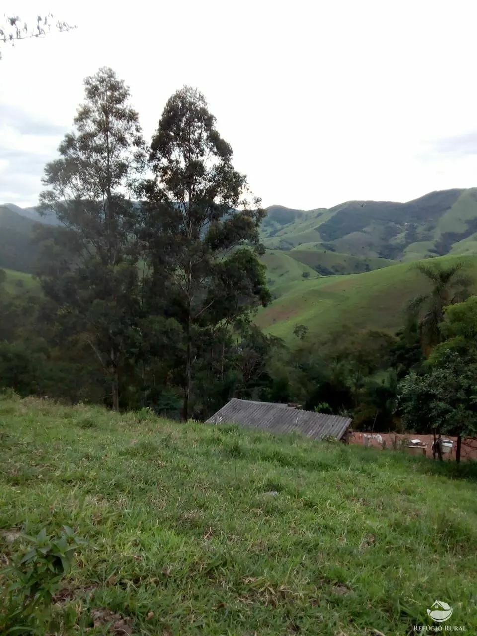 Sítio à venda de 6 ha em Monteiro Lobato, SP, Brasil