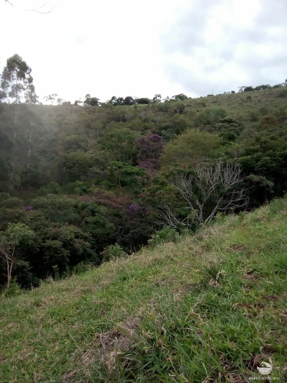 Sítio à venda de 6 ha em Monteiro Lobato, SP, Brasil