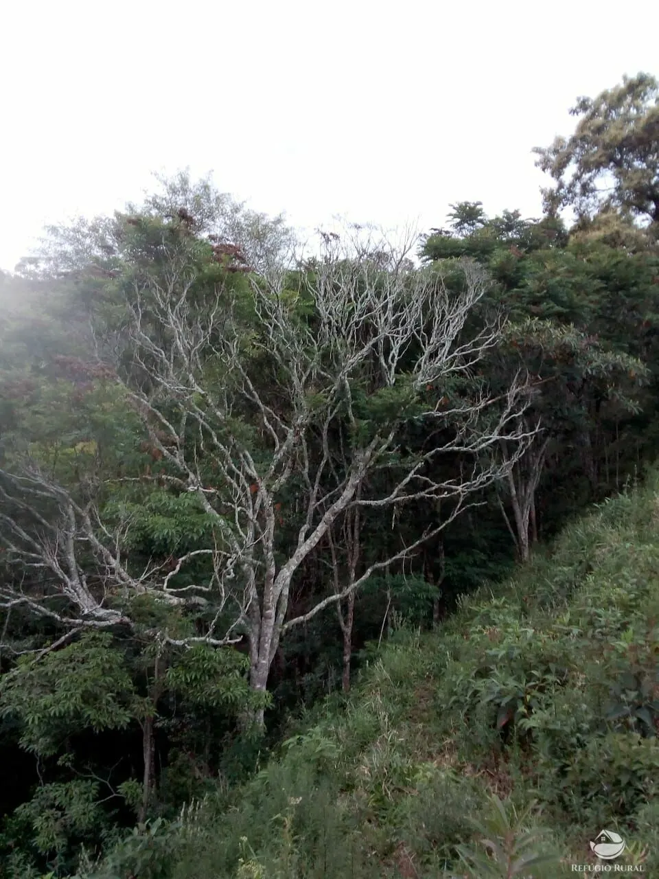 Sítio à venda de 6 ha em Monteiro Lobato, SP, Brasil