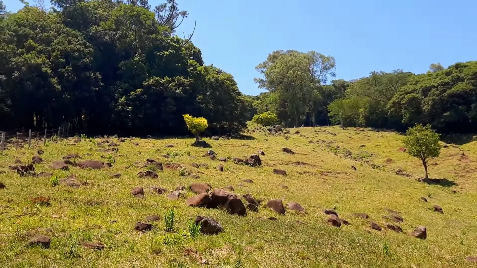 Plot for sale of 15 acres in Santo Antônio da Patrulha, RS, Brazil