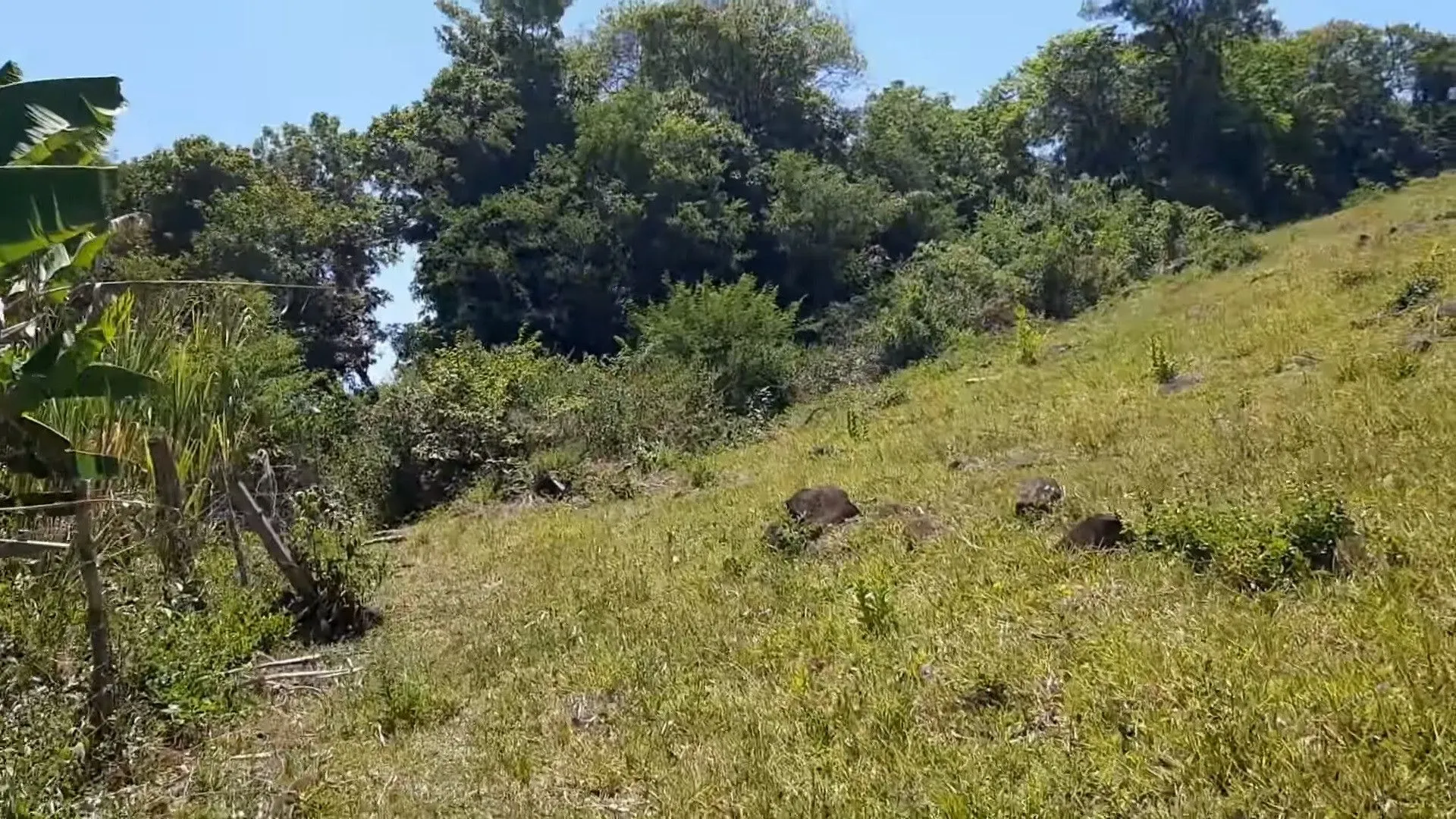 Plot for sale of 15 acres in Santo Antônio da Patrulha, RS, Brazil