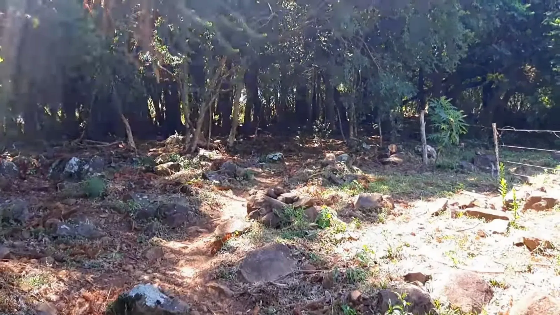 Plot for sale of 15 acres in Santo Antônio da Patrulha, RS, Brazil