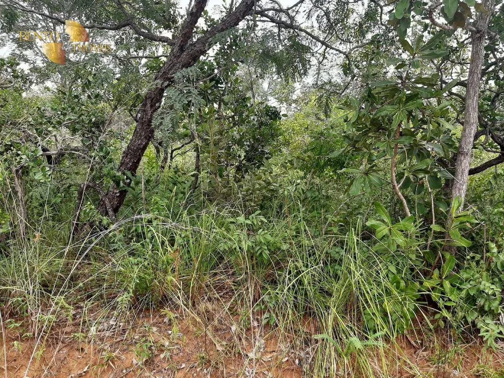 Fazenda à venda de 250 ha em Chapada dos Guimarães, MT, Brasil