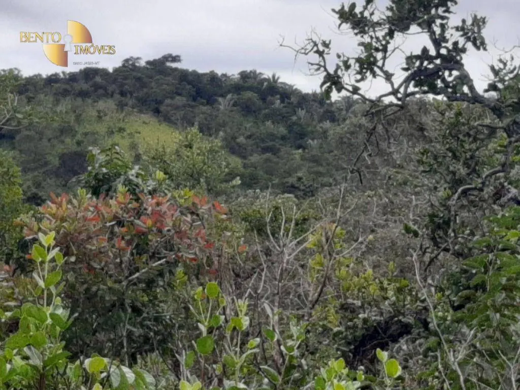 Fazenda à venda de 250 ha em Chapada dos Guimarães, MT, Brasil