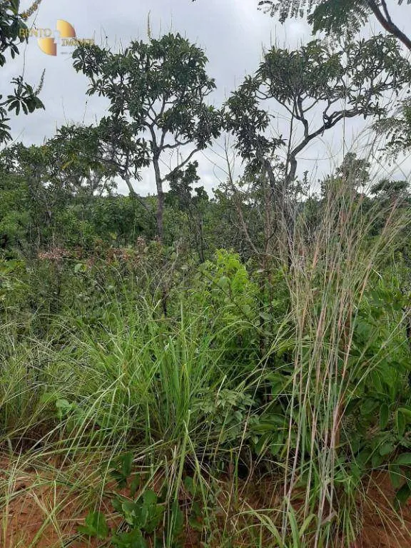 Fazenda à venda de 250 ha em Chapada dos Guimarães, MT, Brasil
