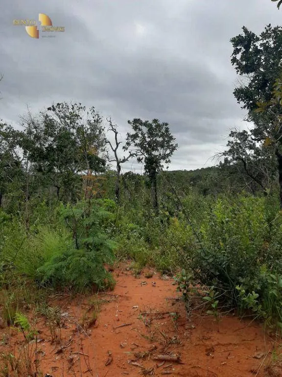 Fazenda à venda de 250 ha em Chapada dos Guimarães, MT, Brasil