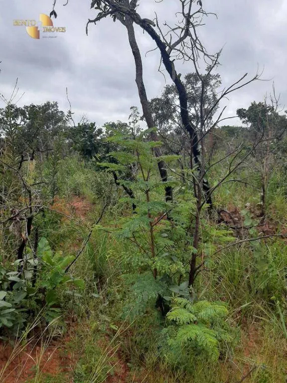 Fazenda à venda de 250 ha em Chapada dos Guimarães, MT, Brasil
