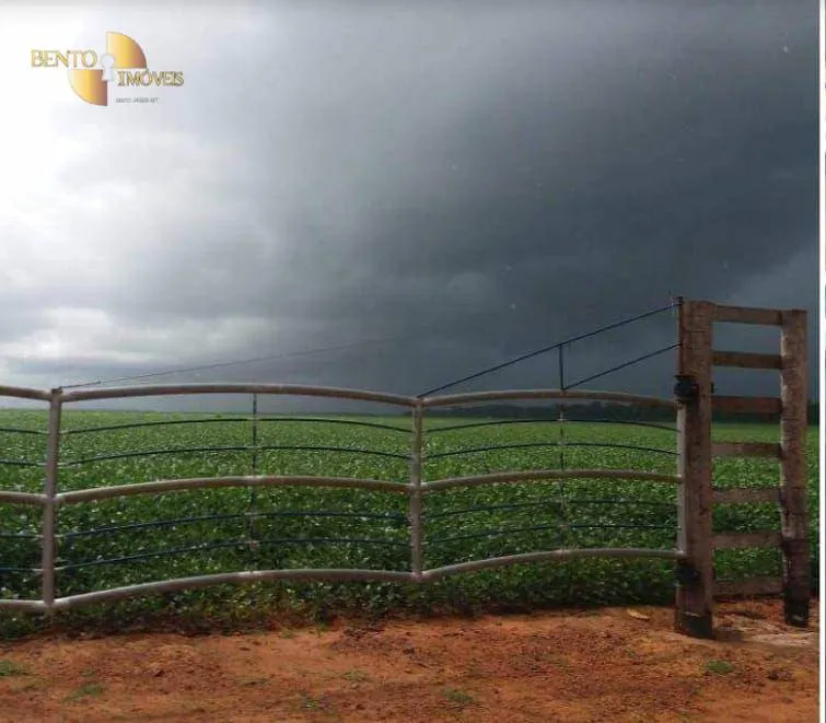 Fazenda à venda de 6.000 ha em Vera, MT, Brasil