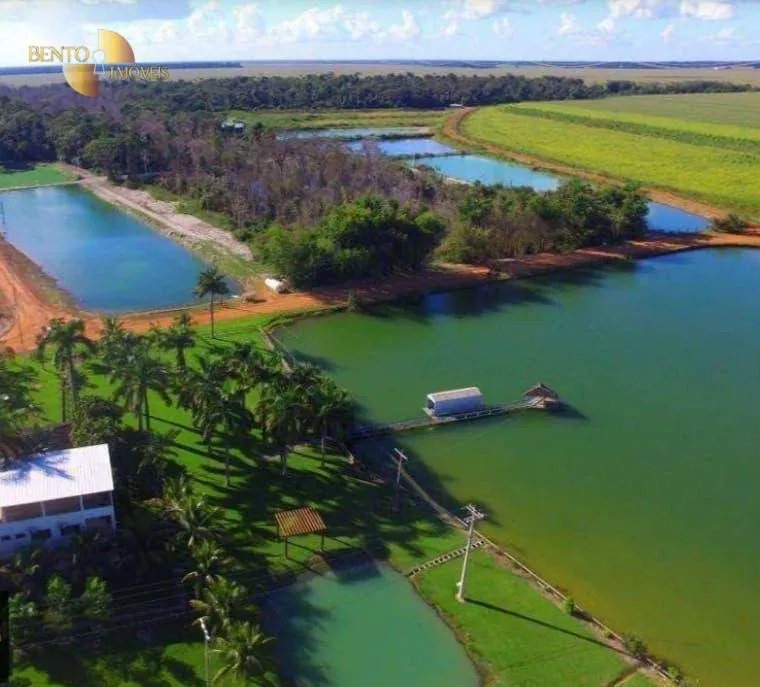 Fazenda à venda de 6.000 ha em Vera, MT, Brasil