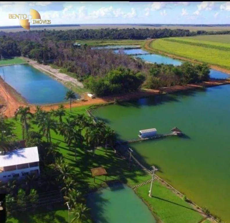 Fazenda à venda de 6.000 ha em Vera, MT, Brasil