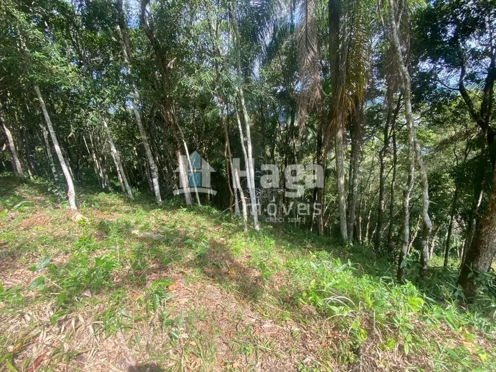 Chácara à venda e para Arrendar de 1 ha em São João Batista, SC, Brasil