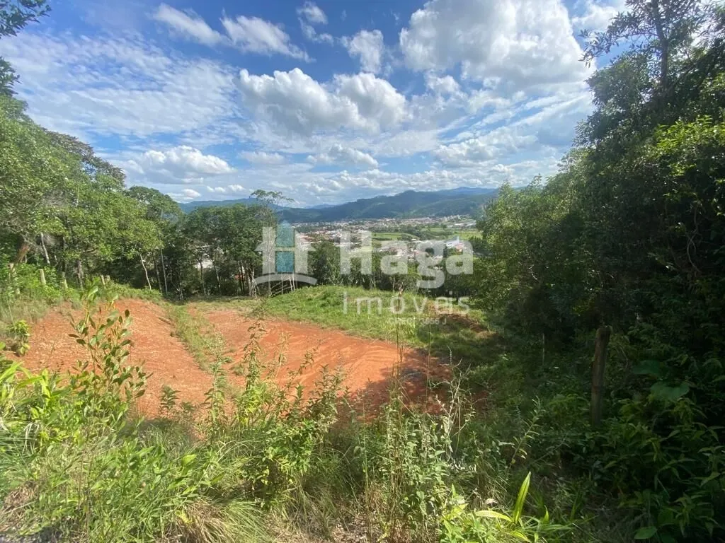 Chácara à venda e para Arrendar de 1 ha em São João Batista, SC, Brasil