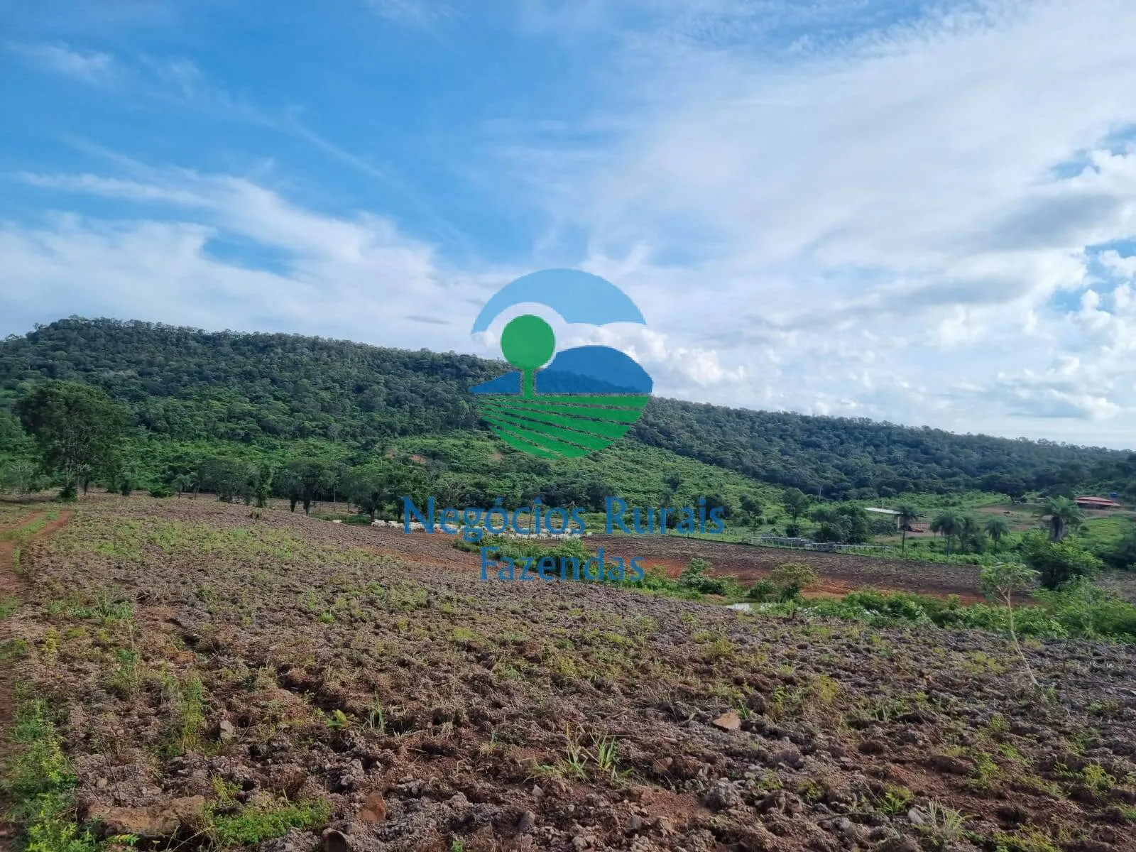 Fazenda à venda de 1.936 ha em Rio Sono, TO, Brasil