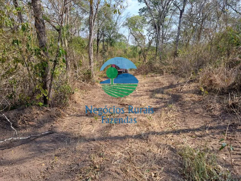 Fazenda à venda de 1.936 ha em Rio Sono, TO, Brasil