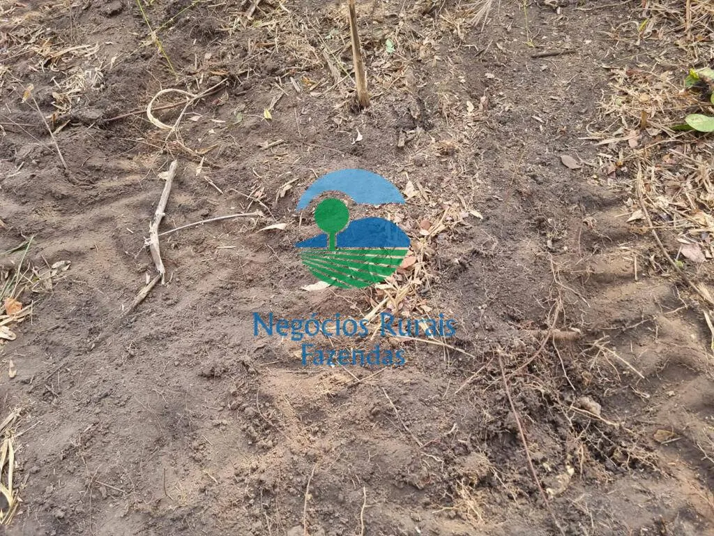 Fazenda à venda de 1.936 ha em Rio Sono, TO, Brasil
