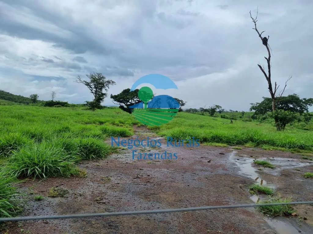 Fazenda à venda de 1.936 ha em Rio Sono, TO, Brasil