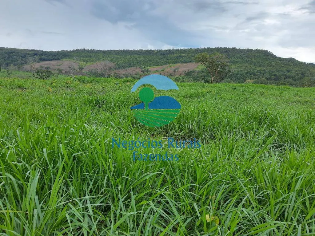 Fazenda à venda de 1.936 ha em Rio Sono, TO, Brasil