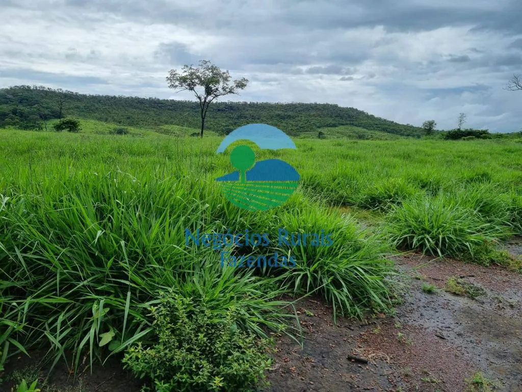 Fazenda à venda de 1.936 ha em Rio Sono, TO, Brasil
