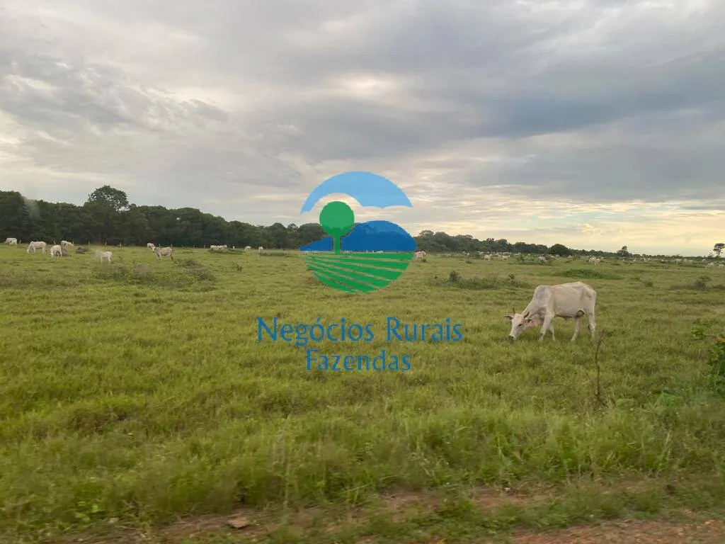 Fazenda à venda de 1.936 ha em Rio Sono, TO, Brasil