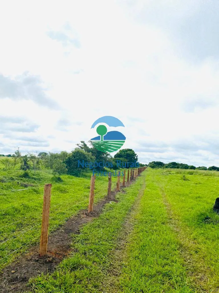 Fazenda à venda de 1.936 ha em Rio Sono, TO, Brasil