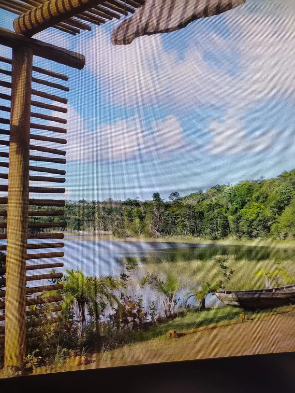 Small farm for sale of 5 acres in Camaçari, BA, Brazil