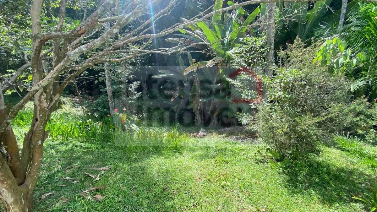 Small farm for sale of 35 acres in Taubaté, SP, Brazil