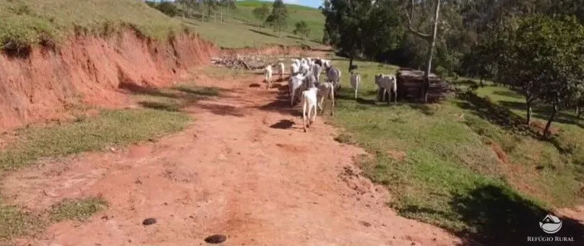 Fazenda à venda de 171 ha em Igaratá, SP, Brasil