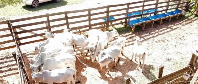 Fazenda à venda de 171 ha em Igaratá, SP, Brasil