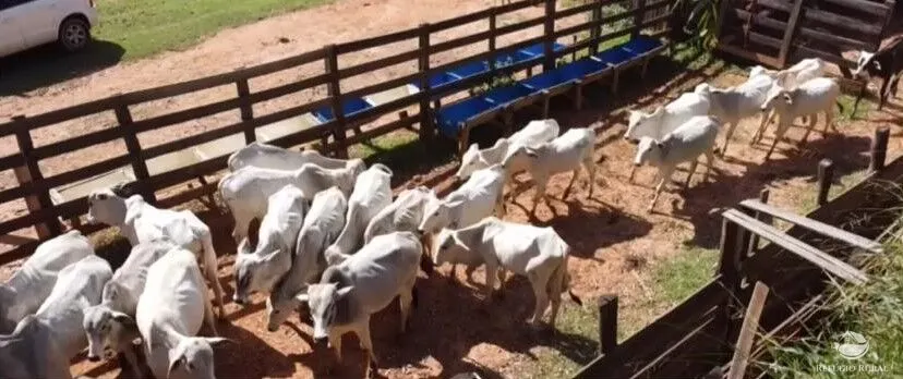 Fazenda à venda de 171 ha em Igaratá, SP, Brasil
