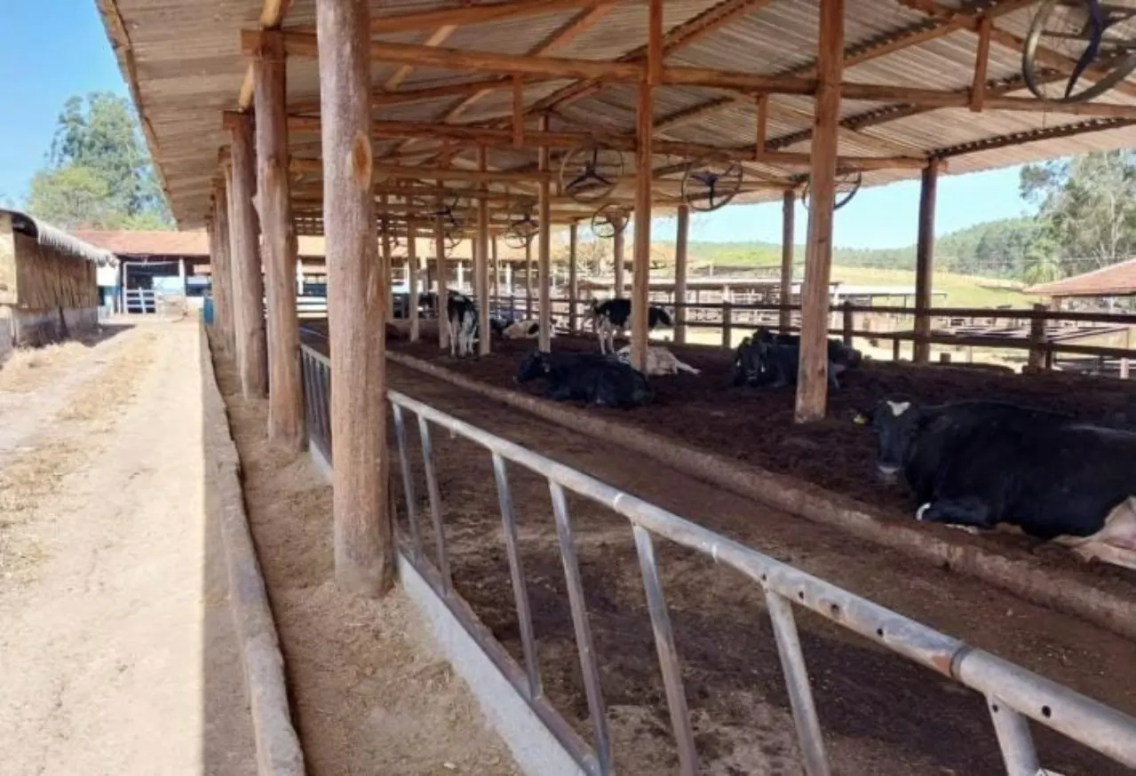 Fazenda à venda de 799 ha em Cachoeira Paulista, SP, Brasil