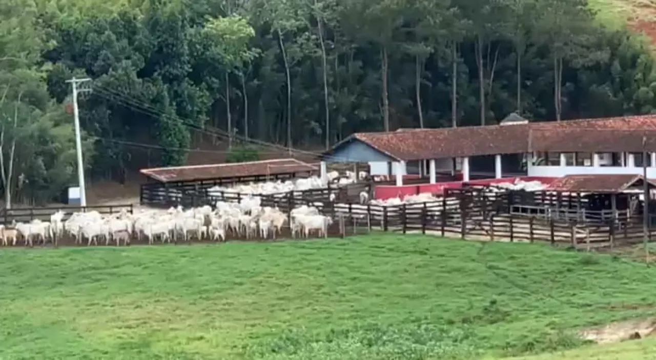 Fazenda à venda de 799 ha em Cachoeira Paulista, SP, Brasil