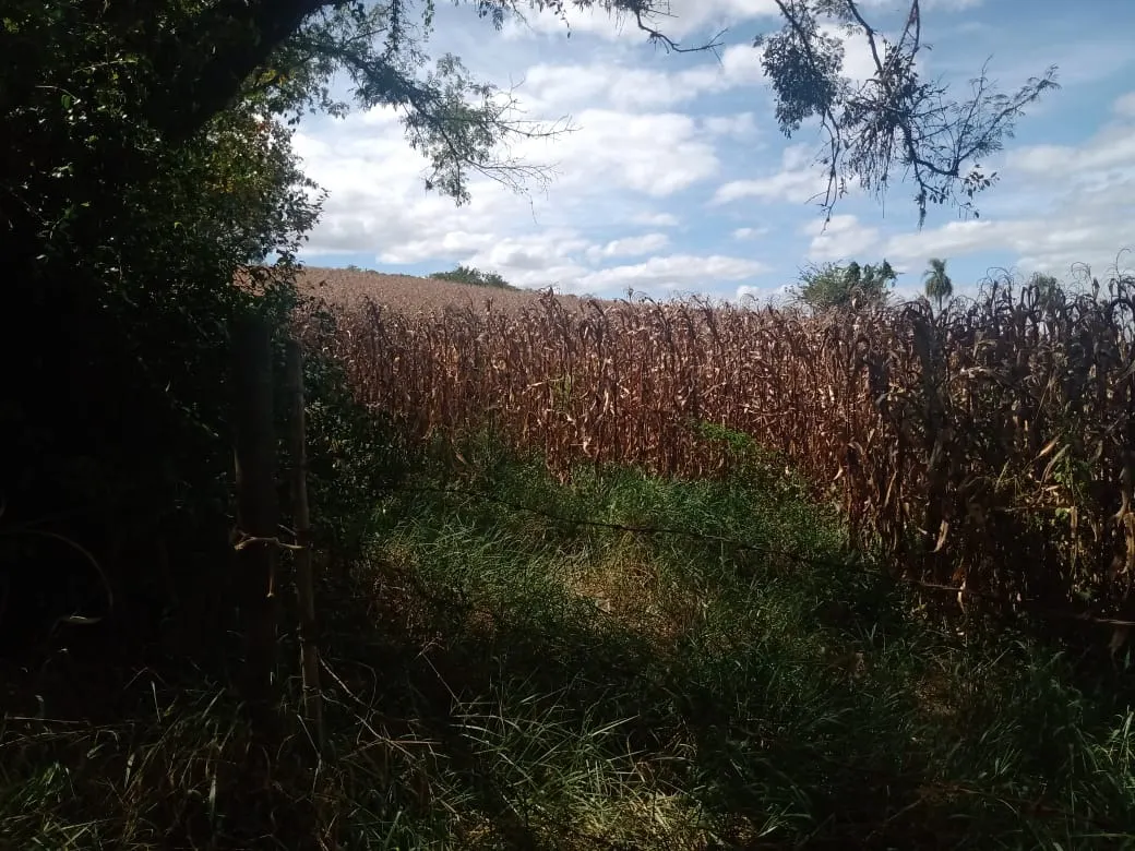 Small farm for sale of 51 acres in Angatuba, SP, Brazil