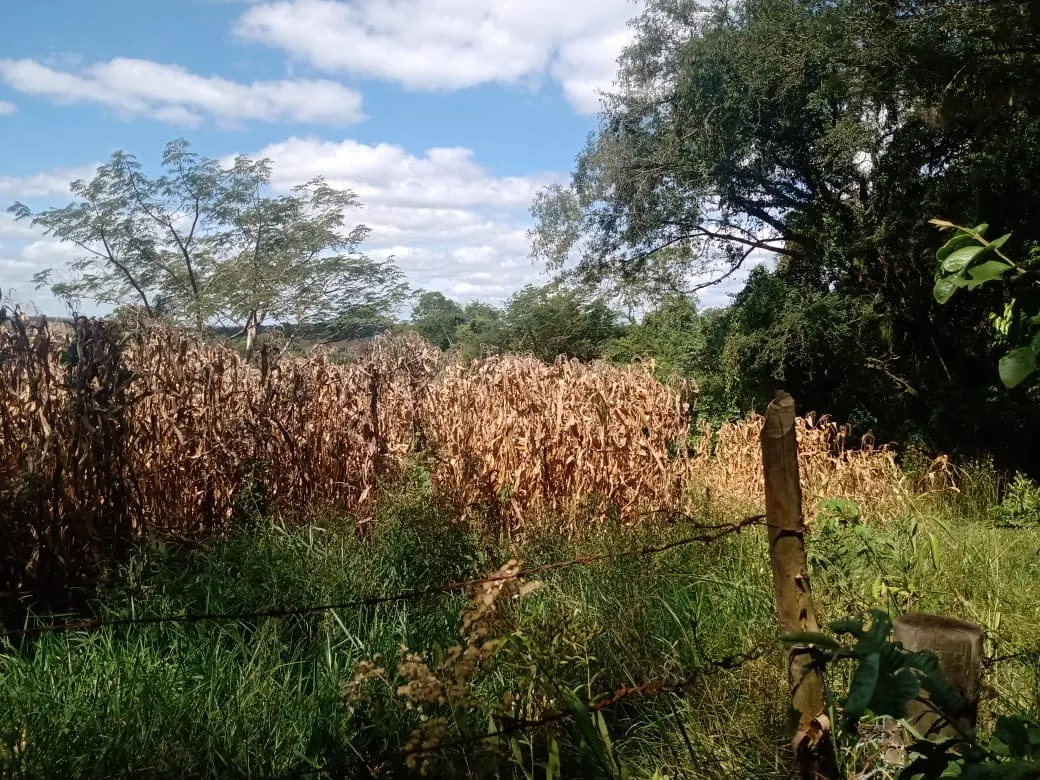 Small farm for sale of 51 acres in Angatuba, SP, Brazil
