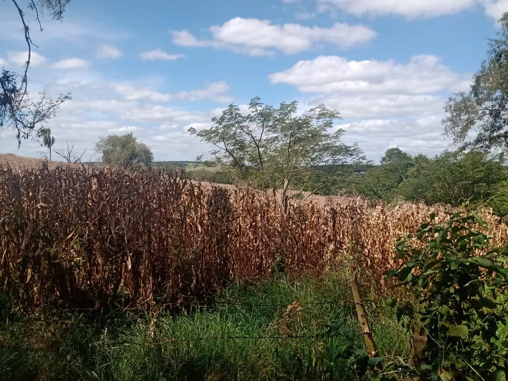 Small farm for sale of 51 acres in Angatuba, SP, Brazil