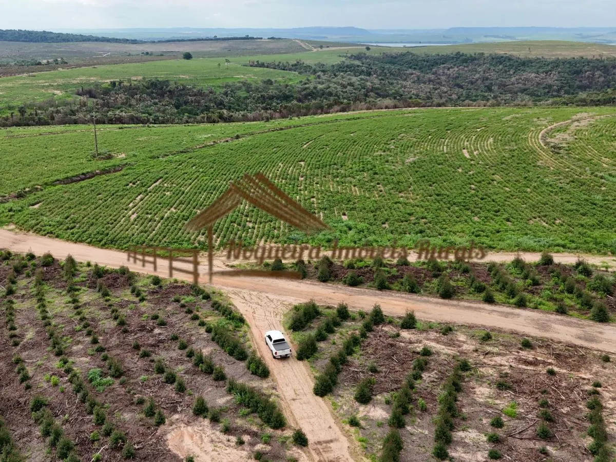 Fazenda à venda de 297 ha em Santa Maria da Serra, SP, Brasil