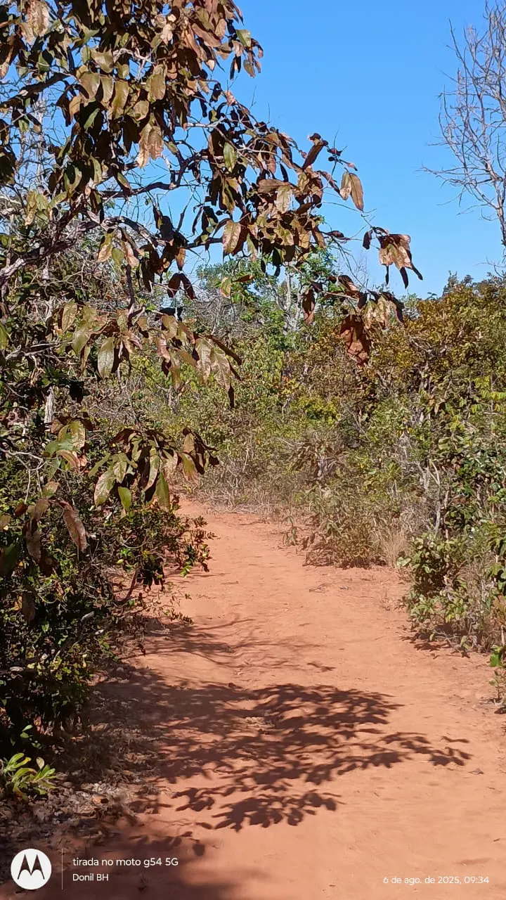 Fazenda à venda de 392 ha em Guiratinga, MT, Brasil