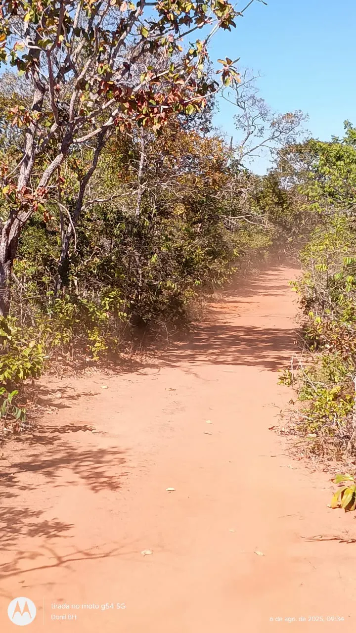 Fazenda à venda de 392 ha em Guiratinga, MT, Brasil