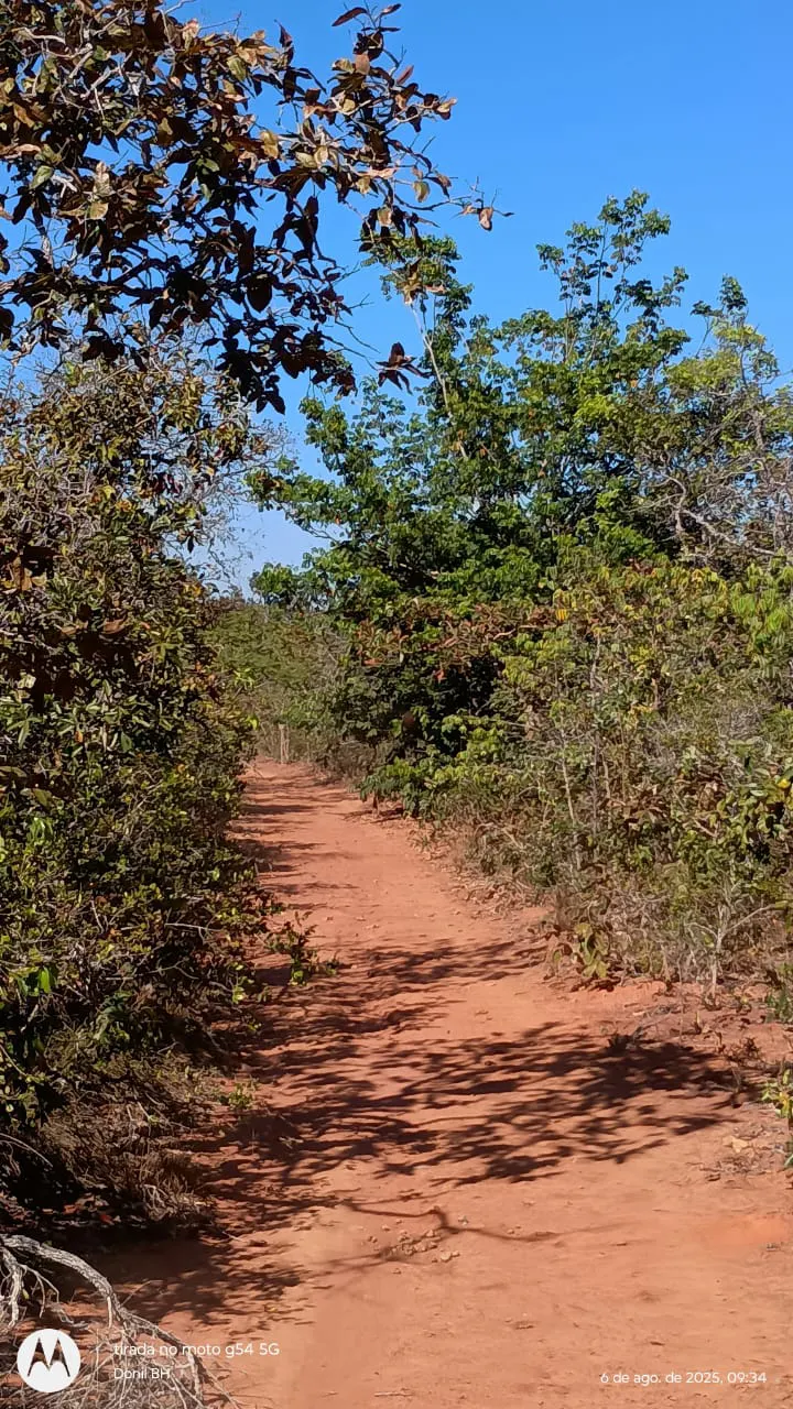 Fazenda à venda de 392 ha em Guiratinga, MT, Brasil