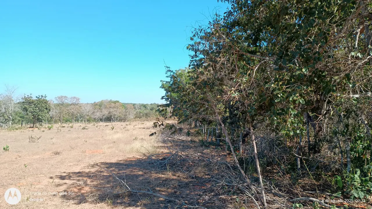 Fazenda à venda de 392 ha em Guiratinga, MT, Brasil