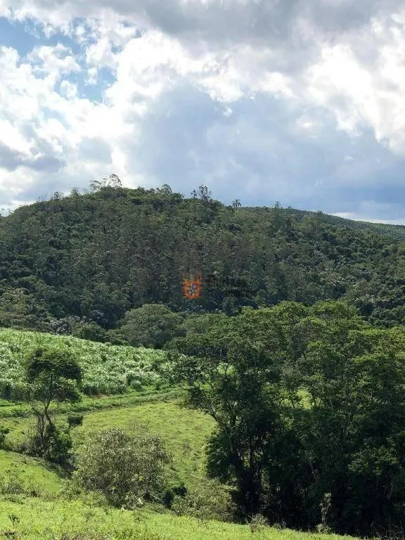 Fazenda à venda de 218 ha em Jambeiro, SP, Brasil