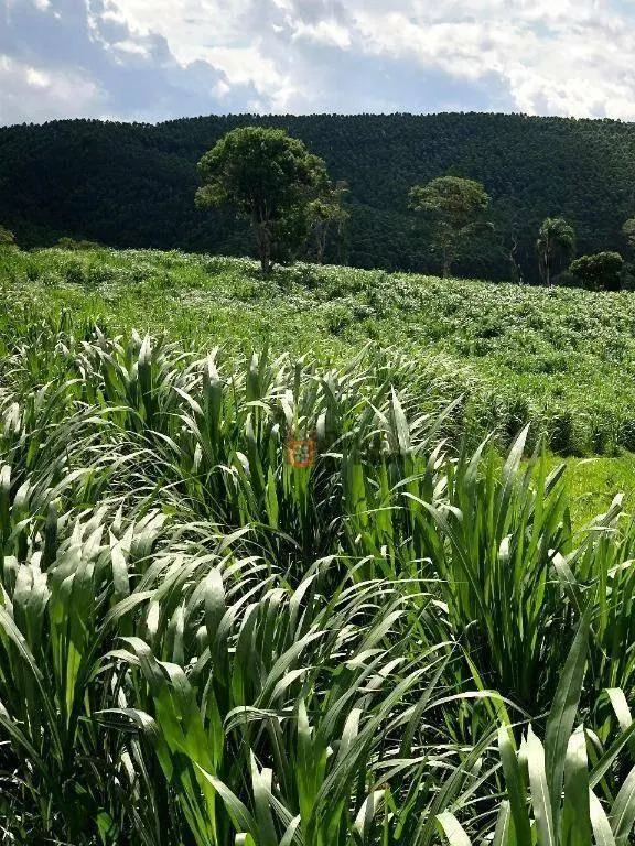 Fazenda à venda de 218 ha em Jambeiro, SP, Brasil
