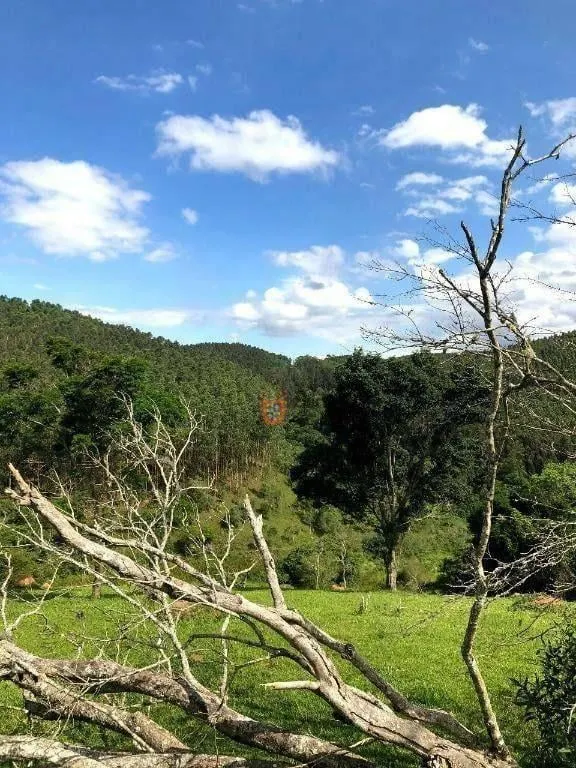 Fazenda à venda de 218 ha em Jambeiro, SP, Brasil